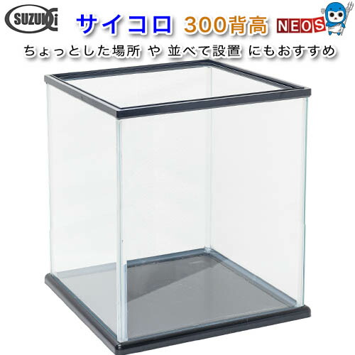 特注ガラスケージ300x200x300㎜未使用品 一台のみ 特注ガラスケージ