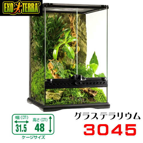 GEX グラステラリウム3045 限定アステカキット 爬虫類ケージ