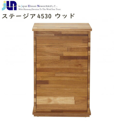 ステージア ウッドキャビ 1200 アクリル水槽 セット キャビネット