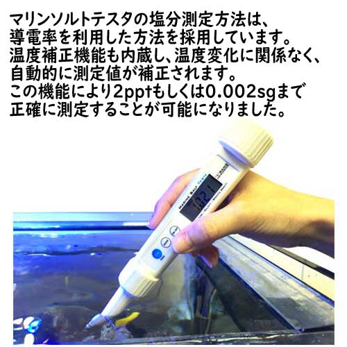 マーフィード マリンソルトテスタ