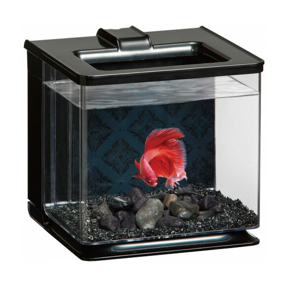 Chase様専用アクアサンライト 1800用 大型水槽｜Chaseアクアサンライト