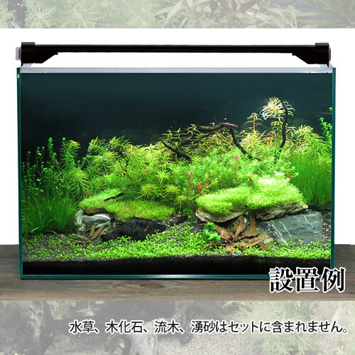 引き取り限定】ガラス水槽フルセット アクアリウム 最強シュリンプ水槽