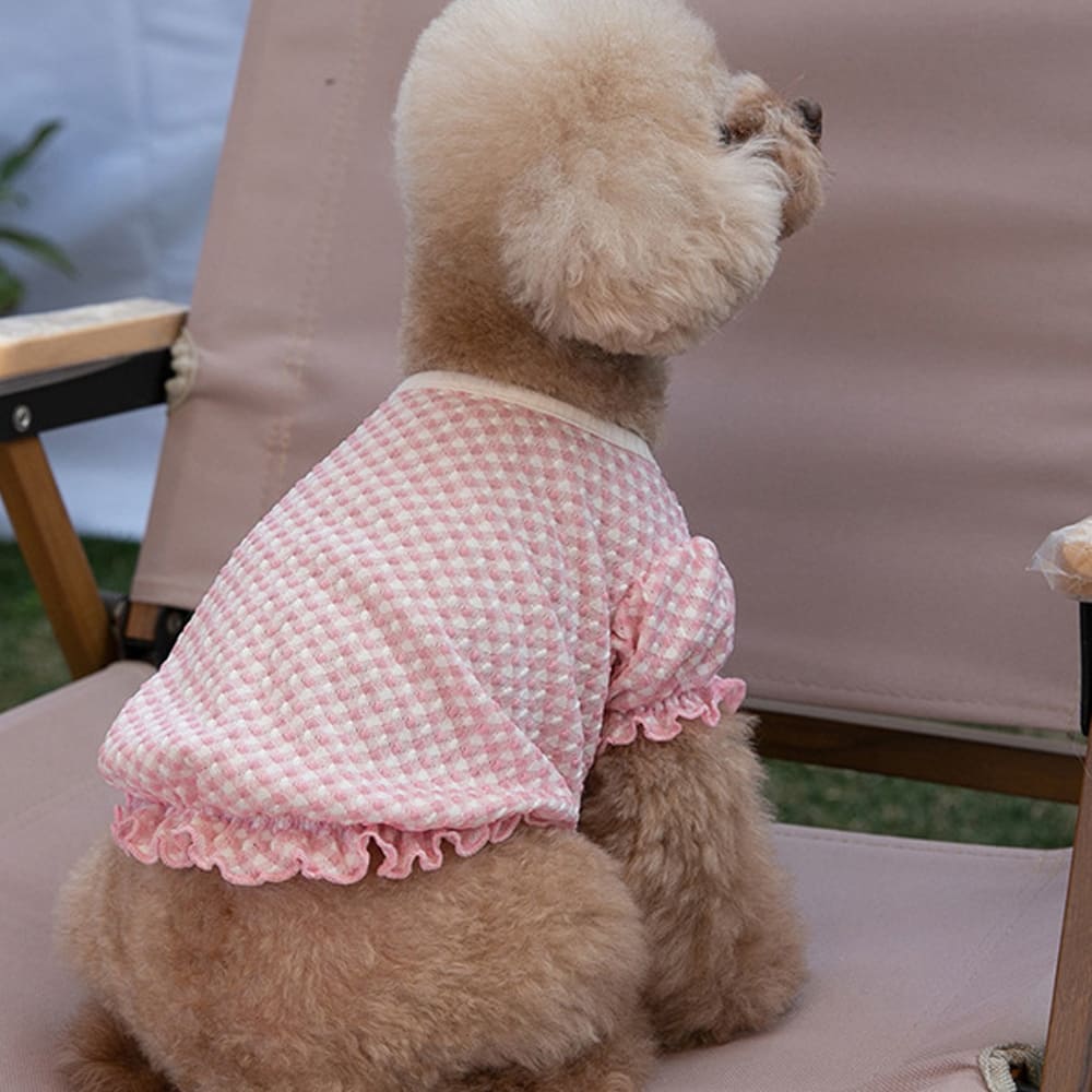 楽天市場】在庫処分 犬服 夏服 ワンピース フリルスカート 春 夏 春用