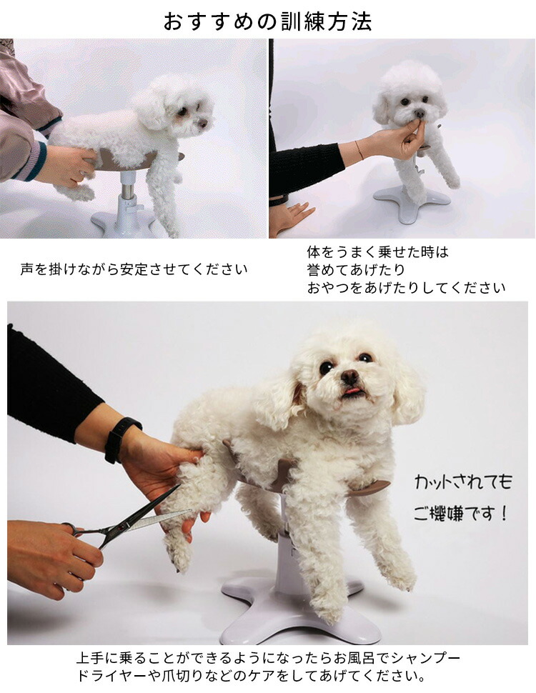 楽天市場】新 Samson salon サムソン・サロン ペット専用チェア