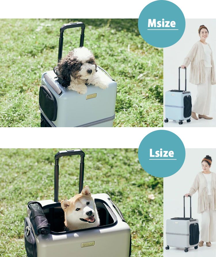 楽天市場】【4000円OFFクーポン！選べる特典付】ペットキャリー PETiCO