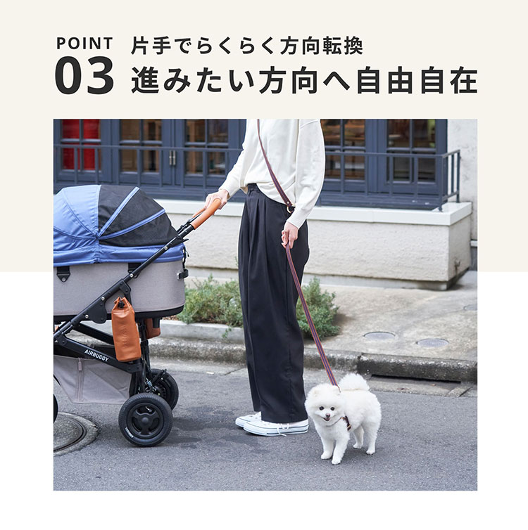 楽天市場】【レビュー特典付】エアバギー ドーム3 プレミア クルーズ