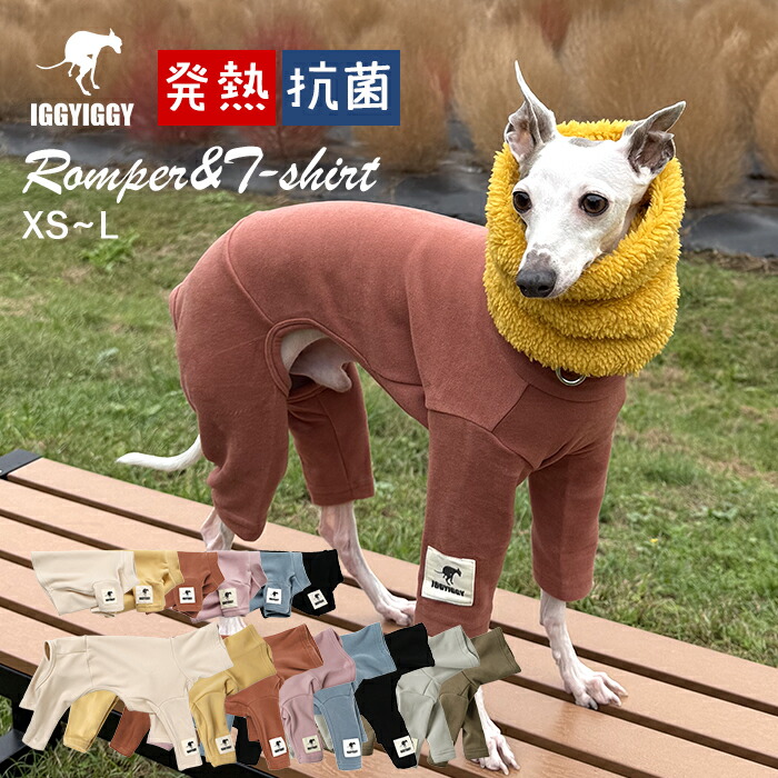 楽天市場】イタグレ ミニピンの通販