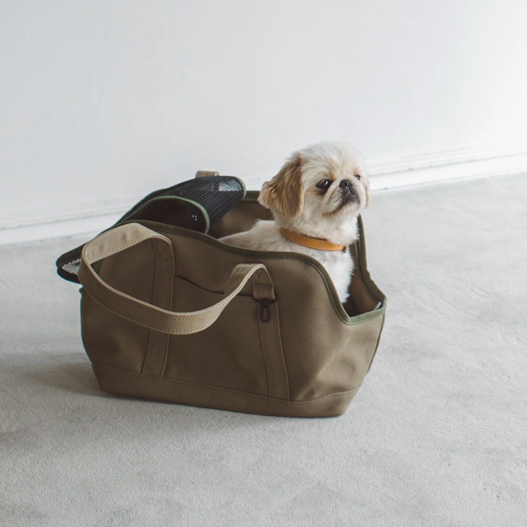 楽天市場】犬 キャリーケース 犬 キャリー犬 猫 キャリーケース