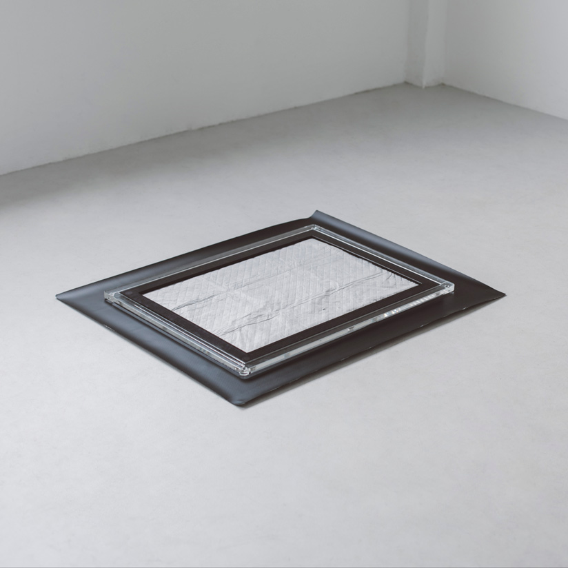 楽天市場】【犬 トイレ】トイレトレイ シート M : フリーステッチ