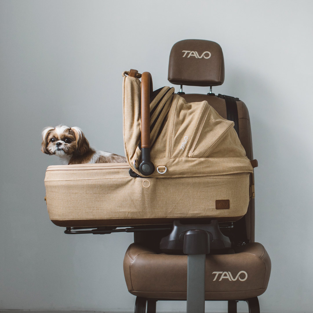 楽天市場】【犬 カート】TAVO Maeve メイブ ＋ ベース 7R(MR)・7X