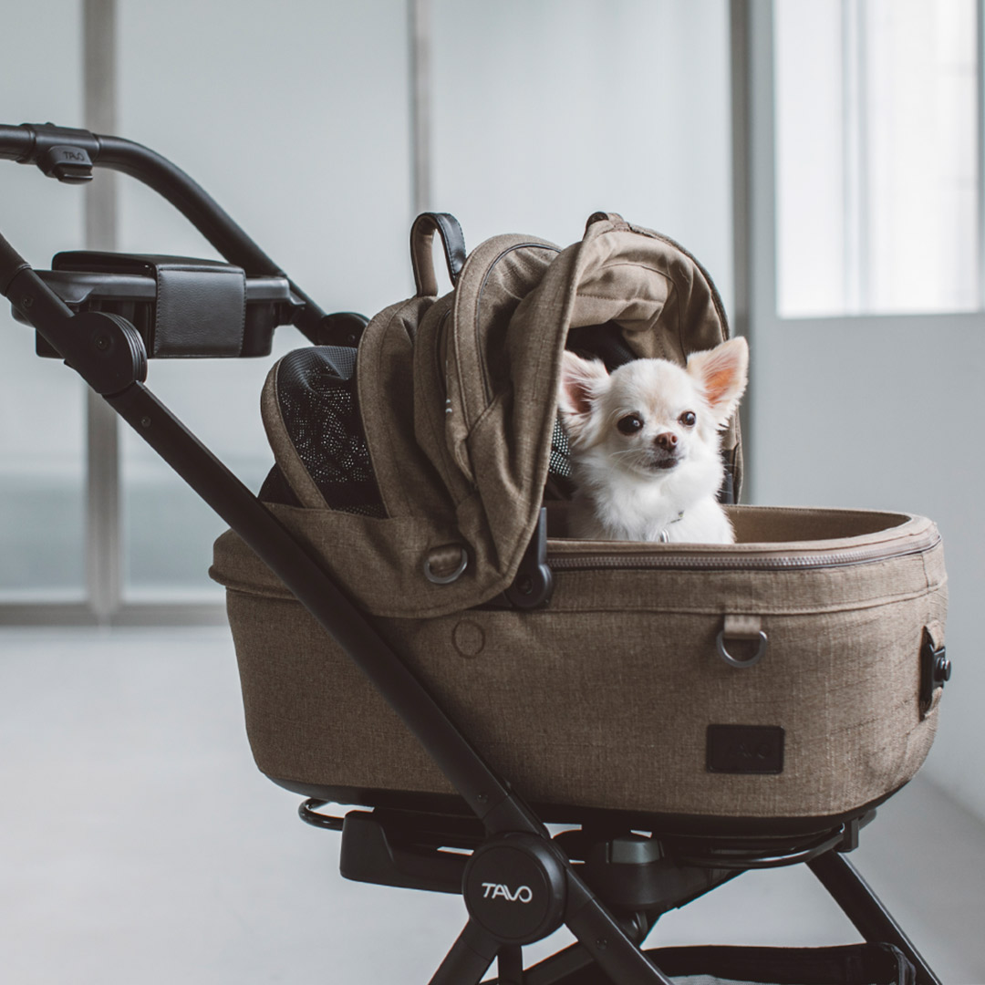 楽天市場】【犬 カート】TAVO Maeve メイブ ＋ Roscoe ロスコー ＋