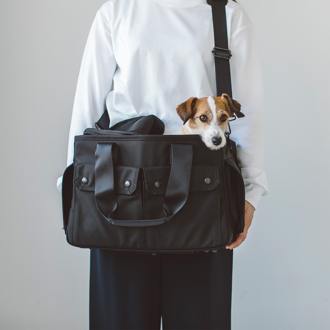 free stitch ベージュ キャンバス キャリーバッグ 小型中型犬用 楽天市場】犬 キャリーケース 犬 キャリー犬 猫 キャリーケース