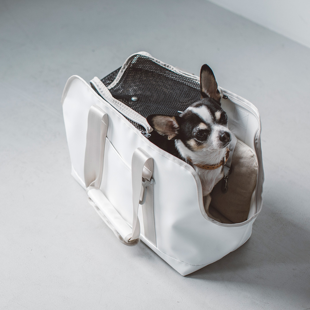 楽天市場】【犬 キャリー】スクエア トート ターポリン S サイズ