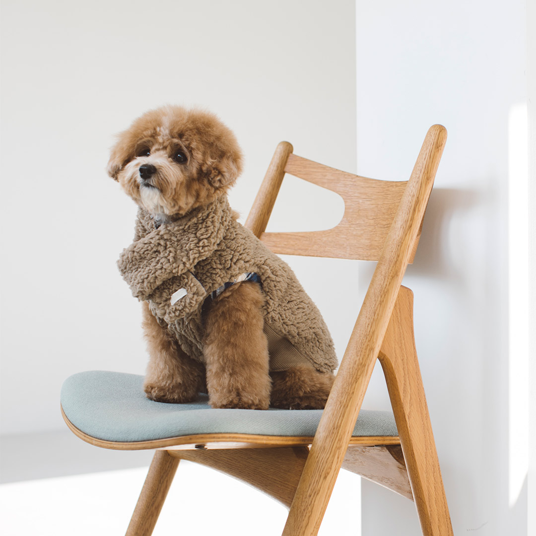 楽天市場】【犬 服 洋服】おしゃれ シンプル 高級 犬服 ドッグウェア