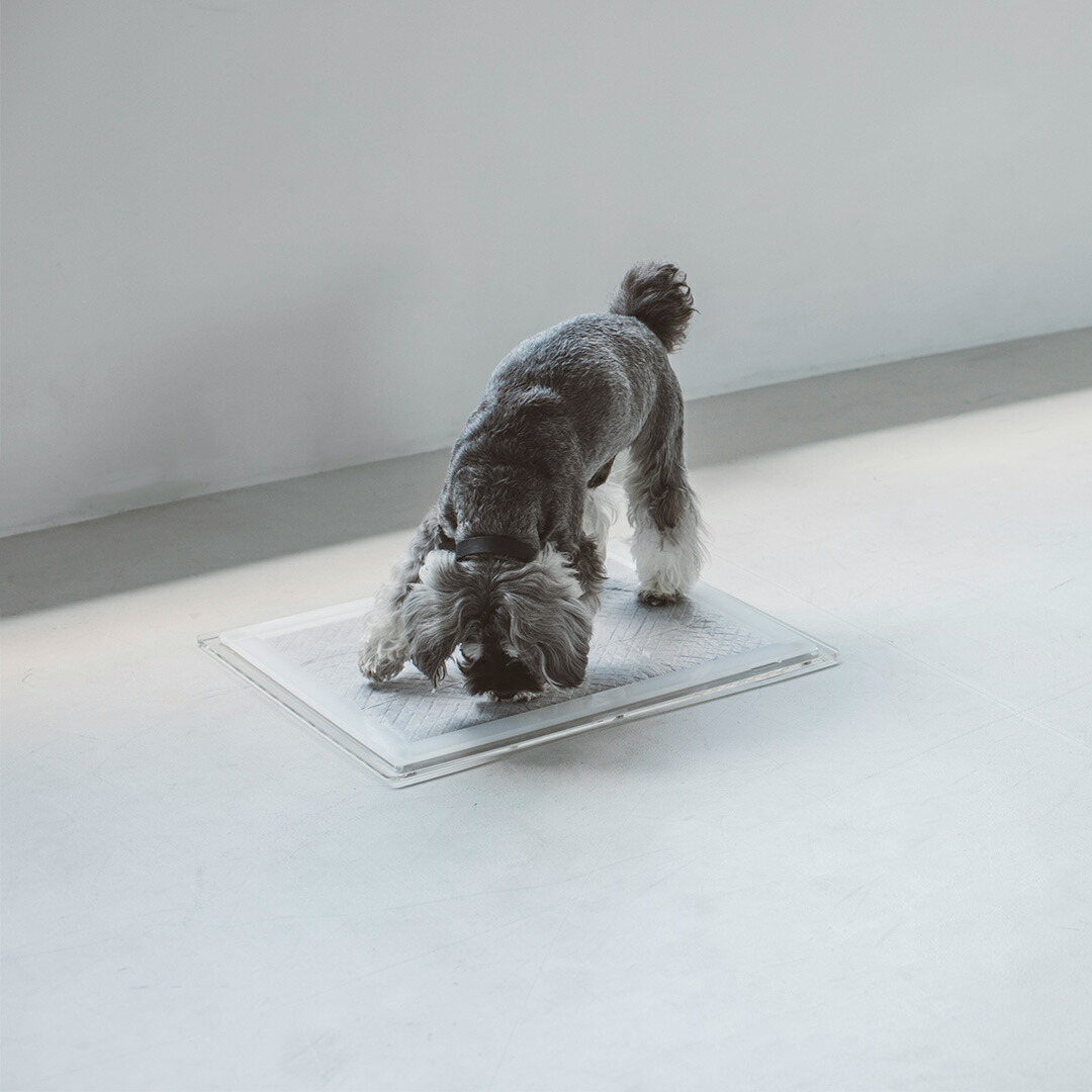 ペットアクリルトイレ ICHIGOtype ワイドサイズ ※グレースモーク色