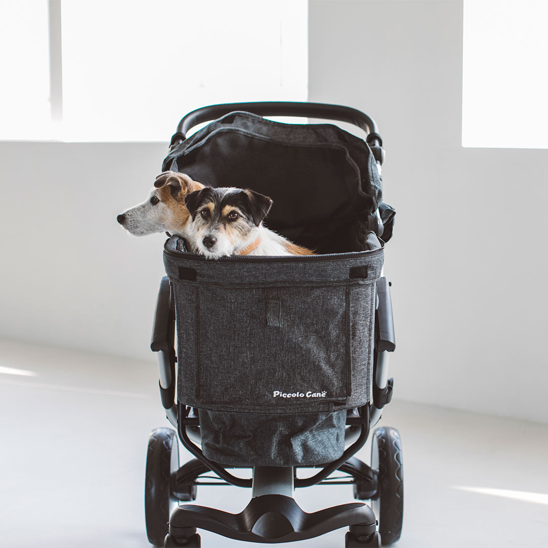 楽天市場】ピッコロカーネ VENTO ベント : フリーステッチ