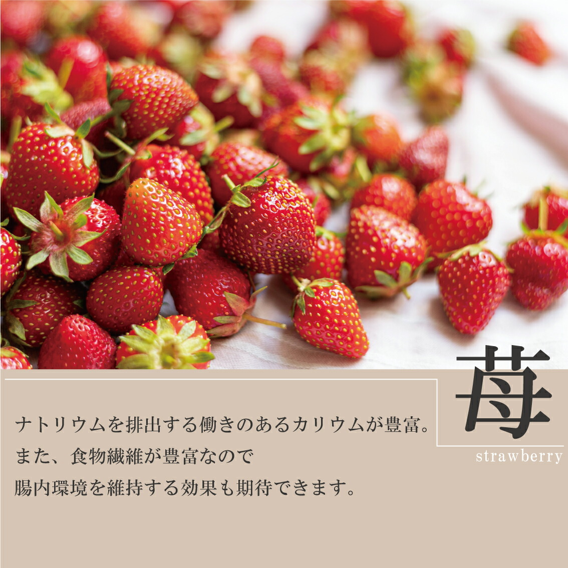 苺ページ strawberryページ 苺♥ いちごページ 椿 Buy ZX 8000 'Strawberry