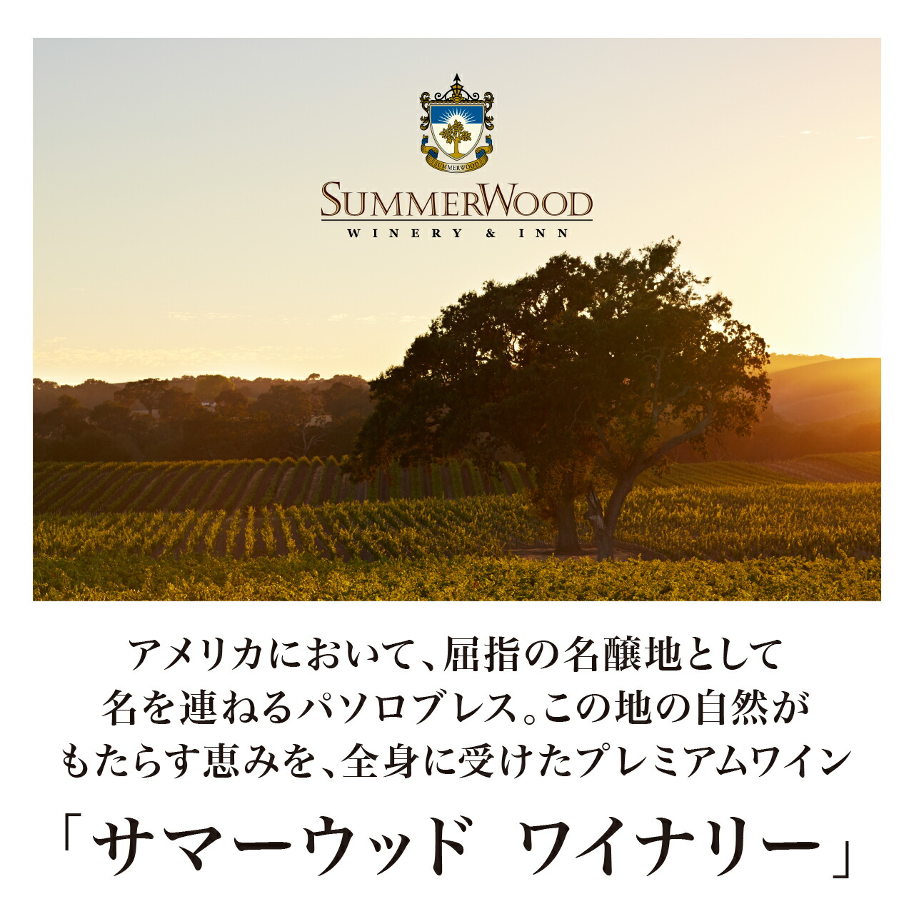 楽天市場】サマーウッドワイン センティオ2018 750ml カリフォルニア