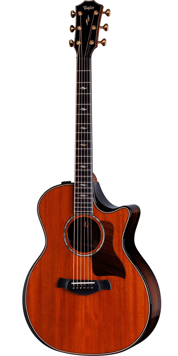 楽天市場】Taylor（テイラー）50th Anniversary Limited Edition
