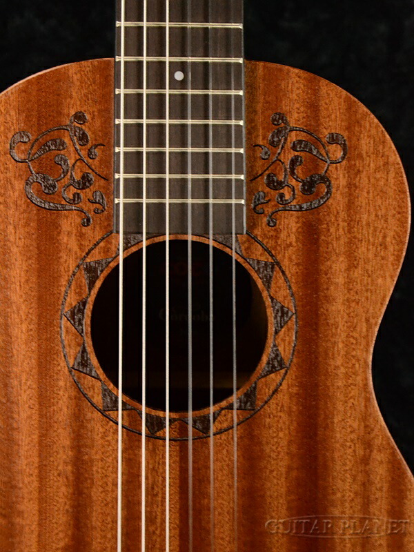 楽天市場】Cordoba Coco Mini MH 新品[コルドバ][ココギター