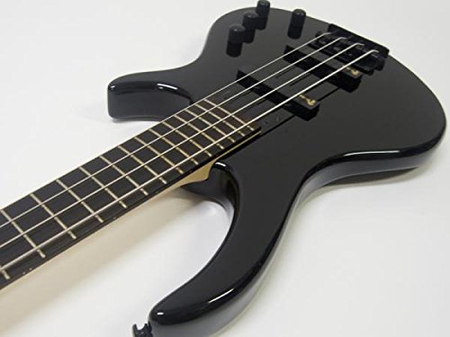 楽天市場】【お得な入門セット付!!】Epiphone Toby Bass Performance