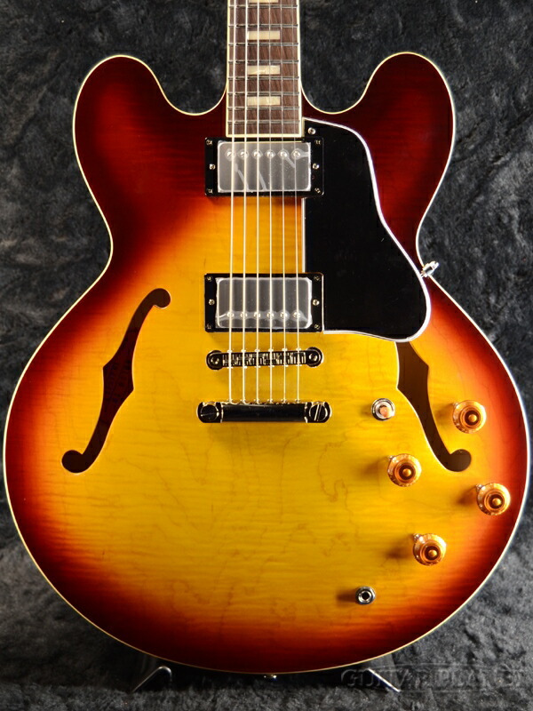 Tokai サンバースト セミアコ 【公式通販】