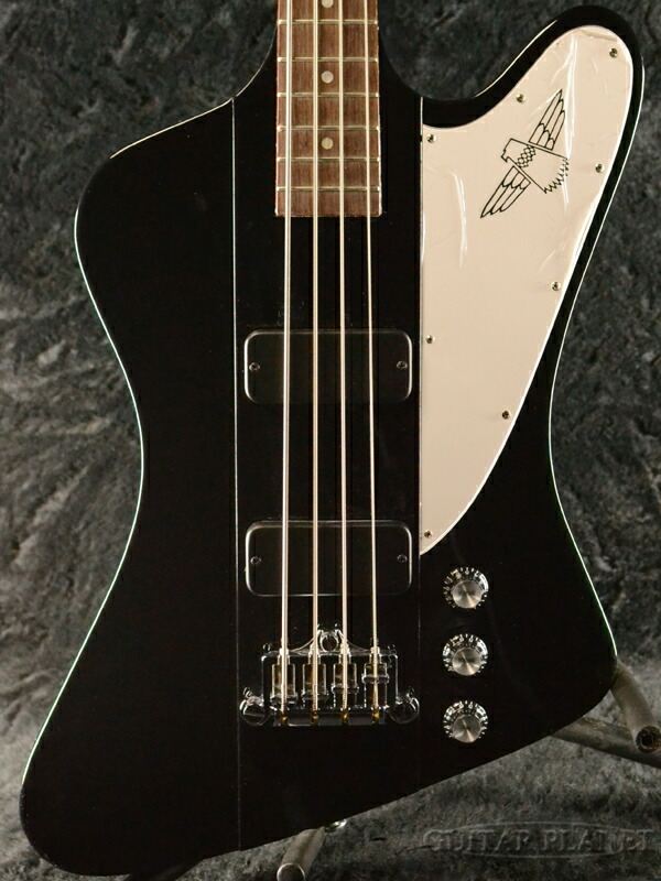 楽天市場】Gibson Thunderbird Bass -Ebony- 新品 エボニーブラック