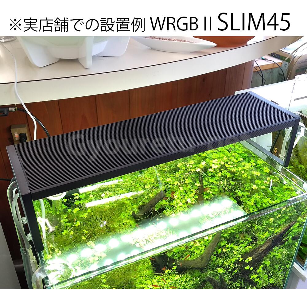 楽天市場】Chihiros（チヒロス）千尋 WRGB2 SLIM 30 適合水槽サイズ30