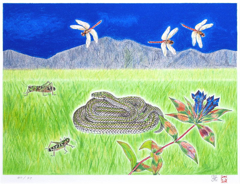 楽天市場】米陀 寛「 巳-89 福禄 」 オリジナルリトグラフ 版画【中古