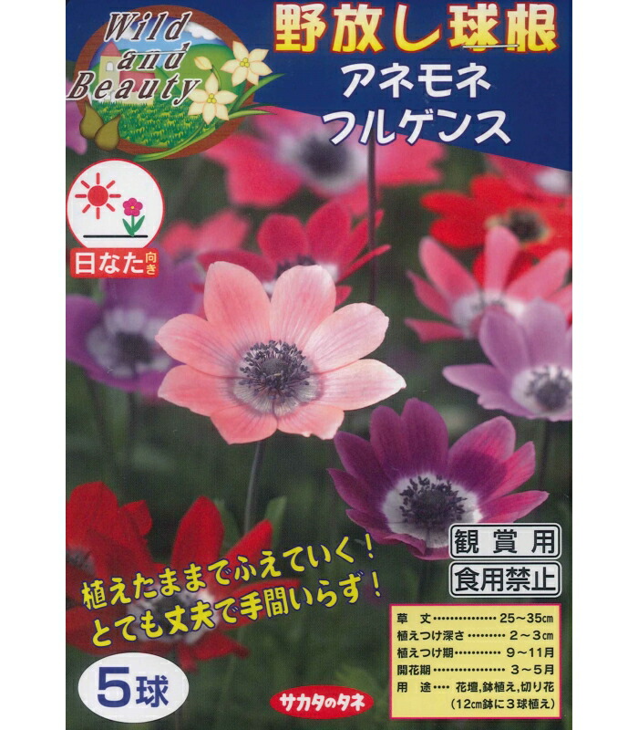 楽天市場】ジブリプランター「魔女の宅急便 ジジとリリーのフラワー