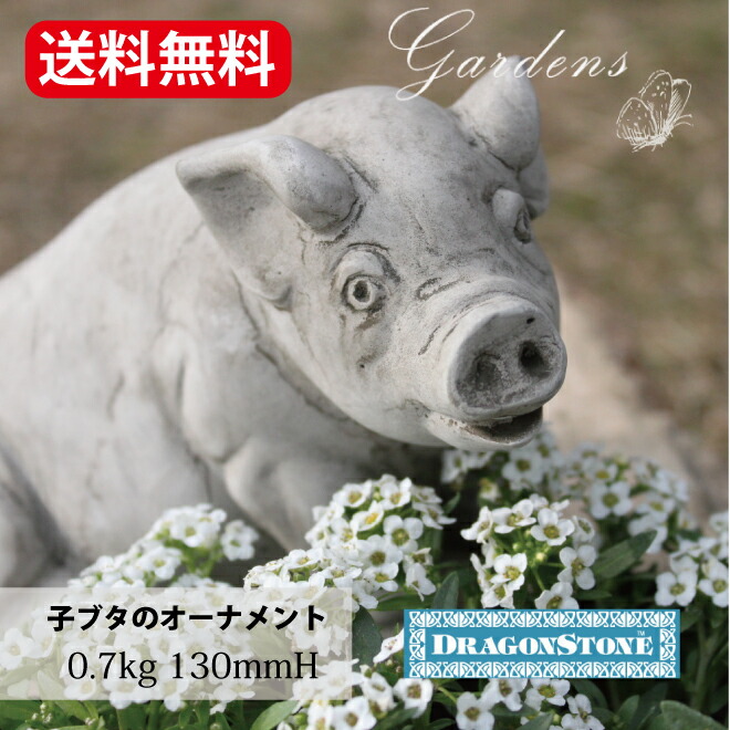 楽天市場】【2/4〜マラソン限定☆エントリーで＋P10倍】ドラゴン