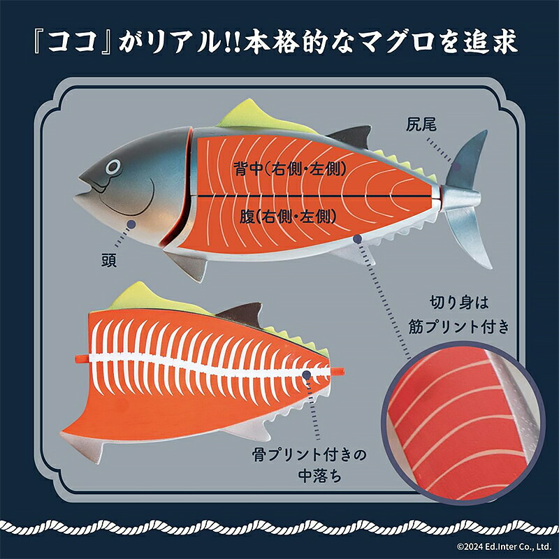楽天市場】木製マグロ解体！寿司職人セット 827376 GENI（ジェニ）エド