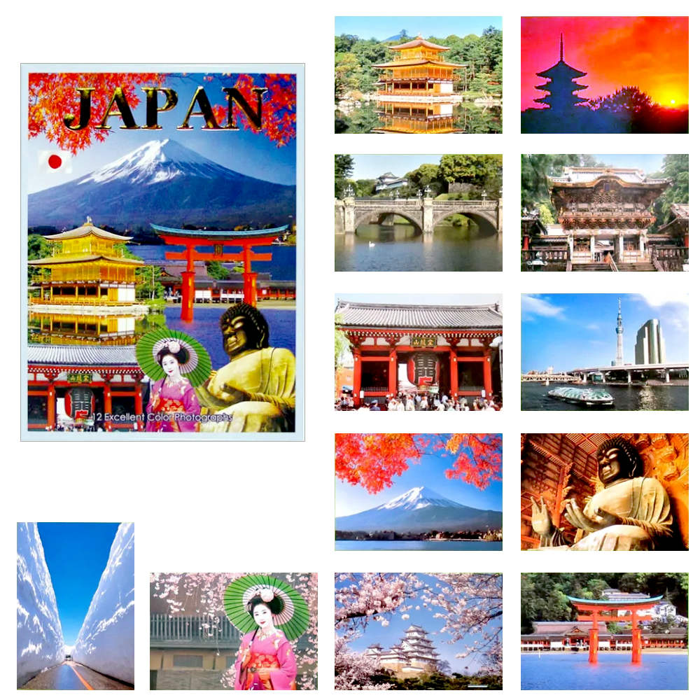 飛行機 ポストカード 5組40枚 昭和30年代 新生堂 絵葉書 タトウ付 JAL