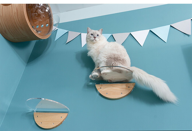 楽天市場】＼ペット割で最大P7／ キャットステップ MYZOO マイズー