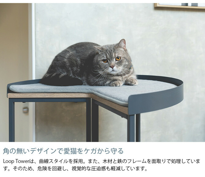 楽天市場】＼ペット割で最大P7／ 【レビュー特典あり】 MYZOO マイズー