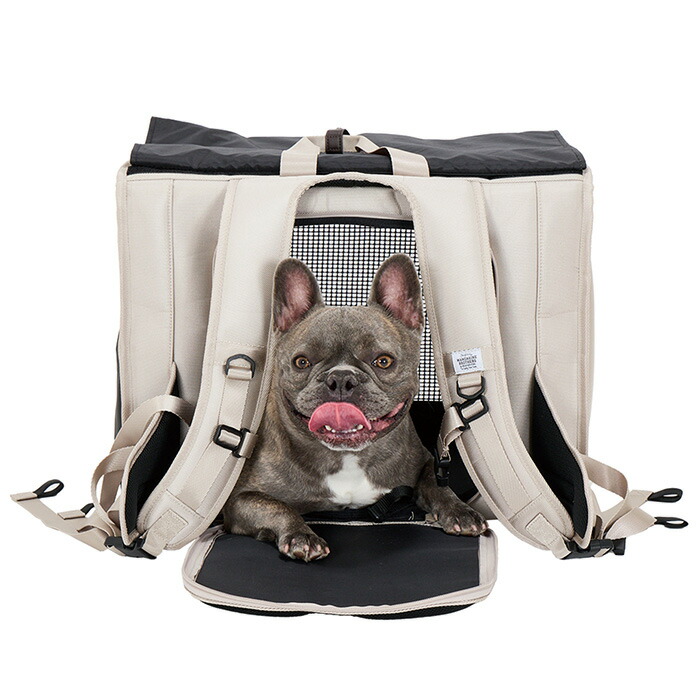 楽天市場】＼ペット割で最大P7／ 【レビュー特典あり】 MANDARINE