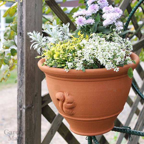 楽天市場】Whichford ウィッチフォード 植木鉢 壁掛け スクワール