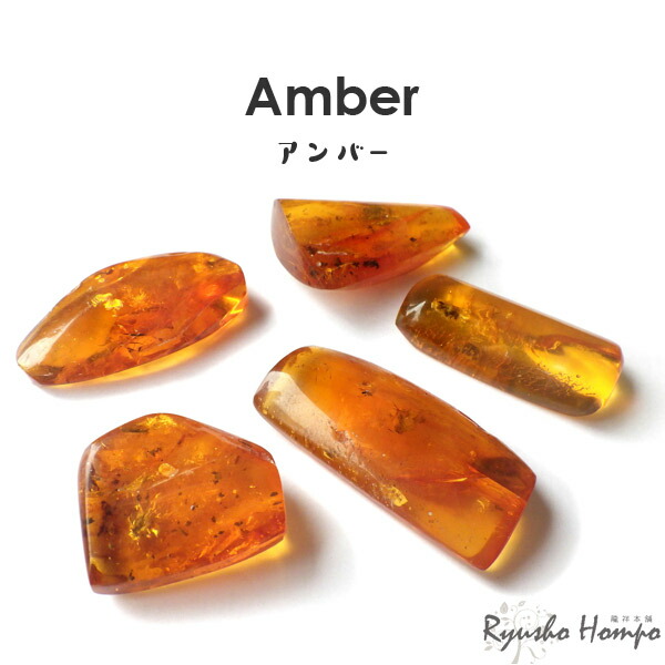 虫本琥珀 虫入りアンバー 即納 琥珀 ユニーク 天然石 宝石 化石 虫本