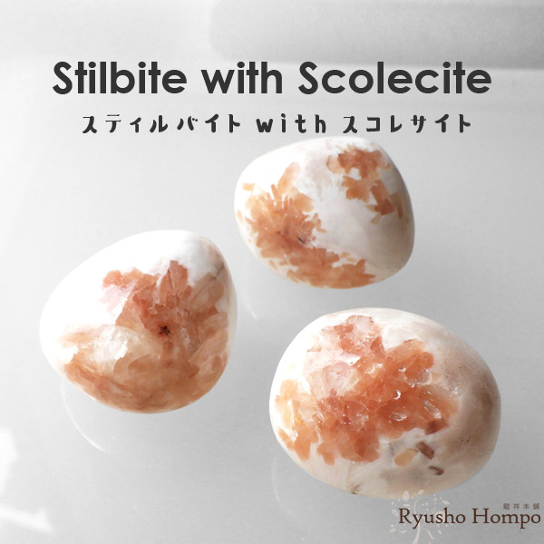 楽天市場】スティルバイト with スコレサイト タンブル インド産