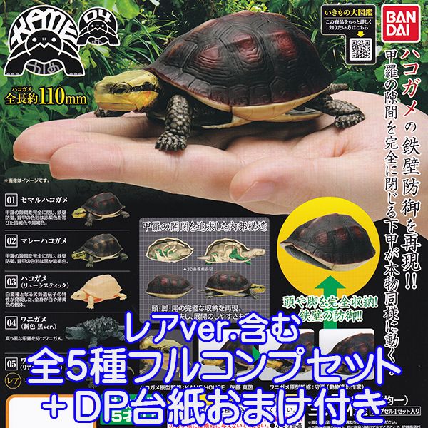 楽天市場】かめ 04 「かめ」シリーズ 第4弾 KAME フィギュア 亀 カメ