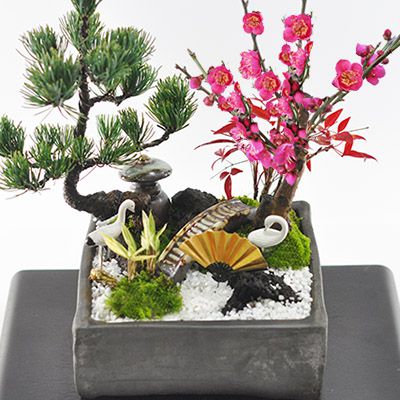 四方刻絵竹子紫砂鉢 大盆栽 小盆栽 多肉植物鉢 中国古美術・