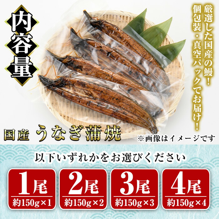 超希少 リュウ ストリートファイター カード Gold ver. 入金困難 超