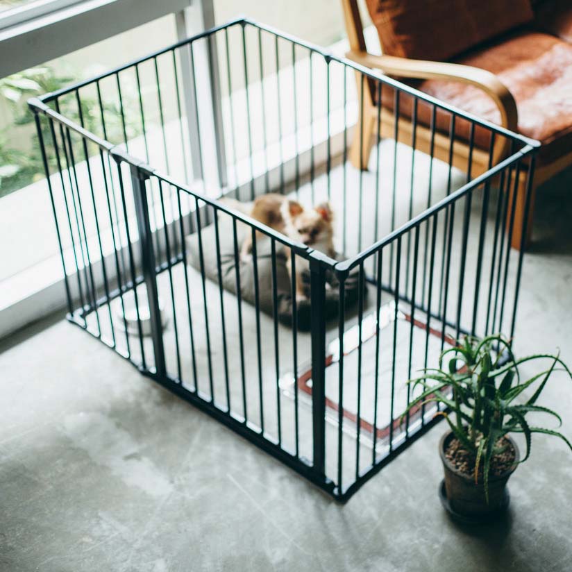 楽天市場】【犬 サークル】小型・中型犬用サークル ペットケージ