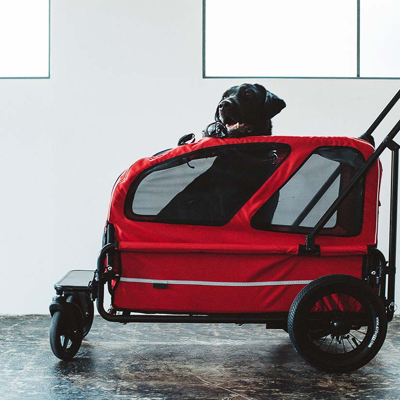 楽天市場】エアバギーフォードッグ キャリッジ ルーフ単体Airbuggy for