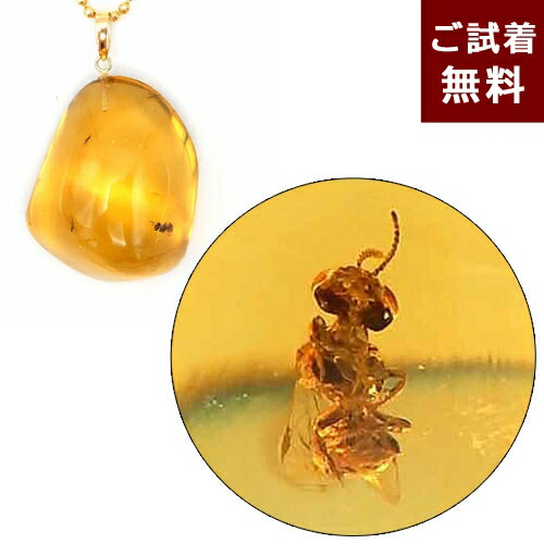 楽天市場】＼最大30％OFFクーポン／化石 虫入り琥珀 ネックレス