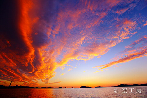楽天市場】フォトカード 空 雲 星 月 飛行機 花 海 風景空の写真家