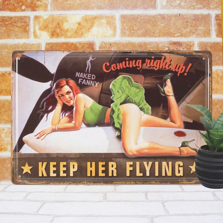 楽天市場】ブリキ看板e セクシーガール プロペラ機bn インテリア