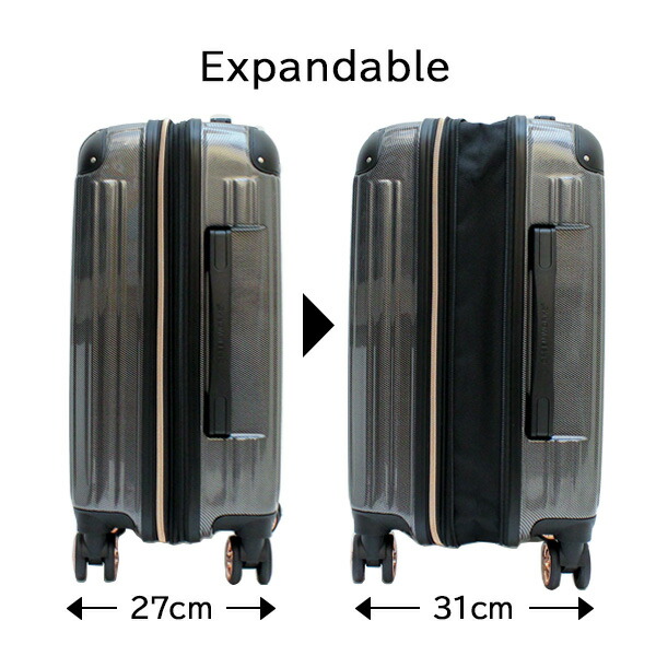 楽天市場】【各種利用でポイント最大27倍！ 】 シフレ siffler