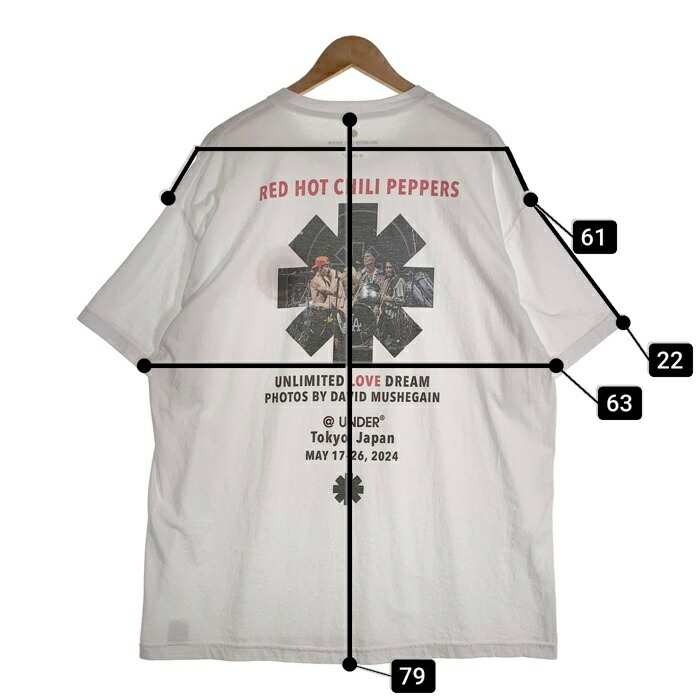 Graphic Tee（RHCP）M レッチリ キムタク着用 ロンハーマン Red Hot