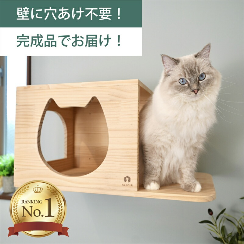 楽天市場】壁掛け キャットステップ 猫顔ハウス 木製 穴あけ不要 完成